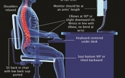 Is the Standing Workstation the Answer?