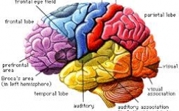 Walking increases creativity